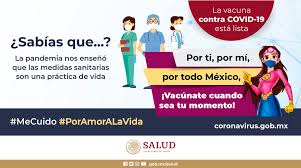 Salud méxico 8 hours ago. Salud Mexico Ssalud Mx Twitter