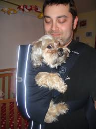 Pet Wrap Carrier Free Delivery Www Wearpumps Com