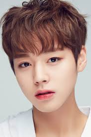 He is mainly known for placing 2nd in produce 101 and becoming a member of boy. Park Ji Hoon 11db Io