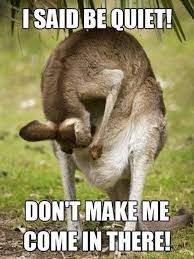 Don T Make Me Come In There Funny Kangaroo Meme
