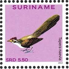 This resident cuckoo is found from mexico and trinidad south to bolivia and argentina. Stamp Striped Cuckoo Tapera Naevia Suriname Birds Mi Sr 2631 Yt Sr 2367 Sg Sr 2680