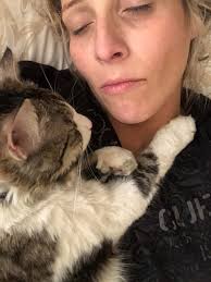 Lost cats in Chandlers Valley, Pennsylvania, need help finding