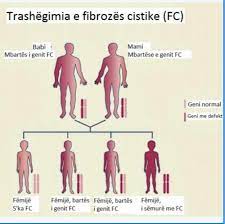 Mukoviszidose (mukoviszidose) ist eine multiorganerkrankung, die am besten in einem multidisziplinären umfeld in verbindung mit einem fachzentrum für cf behandelt wird, wobei die behandlung auf den einzelnen patienten zugeschnitten ist. Mukoviszidose Cystische Fibrose Fibroz Cistike Kosovo Albanien Photos Facebook