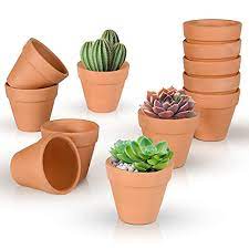Binatang buruan di kwsn ini. Bagaimana Memilih Periuk Tanah Liat Berkebun Hidup Berkebun Hidup