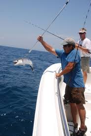 Kings Of Summer King Mackerel A Thrilling Accessible Offshore Target Postandcourier Com