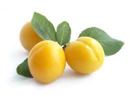 The fruits are incredibly sweet and tangy, with a taste of honey. What Is A Mirabelle Plum Growing Mirabelles In The Garden
