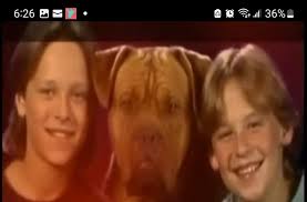 Actor's filmography and biography