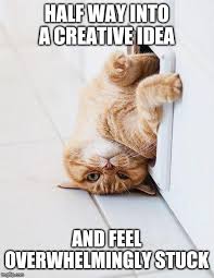 Stuck Cat Memes Imgflip