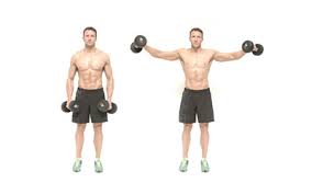 shoulder exercises the best 7 you need to know