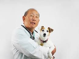 Call now for reliable care for your dog or cat. Warren Sakamoto Vca Gentle Vets Animal Hospital