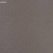 Comparatif cache prise bébé : Osborne Little Nutmeg Free Next Day Delivery Designer Wallpapers