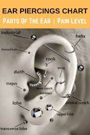ear piercings chart ohrpiercings fur manner und frauen chart frauen manner ohrpiercings piercing ohrpiercing industrial ohrpiercing rook daith piercing
