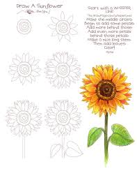 Pick a flower and a reference image. 1001 Ideas And Tutorials For Easy Flowers To Draw Pictures