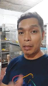 naghahanap ng matured pair sulfur ung complete papers baka magkasundo tayo