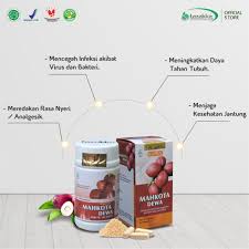 Buahnya berkhasiat menghilangkan gatal (antipruritus) dan 3. Kelebihan Mahkota Dewa Kering