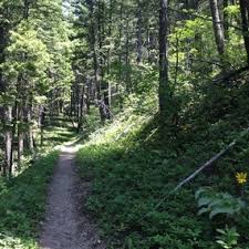 Trail run project is built by runners like you. Bozeman Local Running Trails Bozeman Running Company