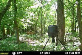 Maybe you would like to learn more about one of these? Gear Review Moultrie Xa 6000 Cellular Game Camera Game Fish
