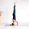 Sirsasana ii as demonstrated perfectly by black dog yoga student sheldon katz with shoes on to boot! Https Encrypted Tbn0 Gstatic Com Images Q Tbn And9gcsd2 Lc6yzhzo0b2ciplhzbdx8ldsgftrv2aqgxerpjgziaqofd Usqp Cau