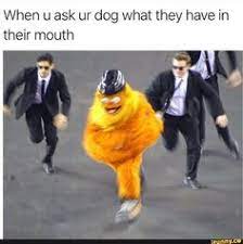 900 Dark Memes Ideas In 2021 Memes Funny Memes Funny Pictures Whether you're looking forward to the new year (or dreading it), here are 20 of the best memes for you from people who share your concerns.