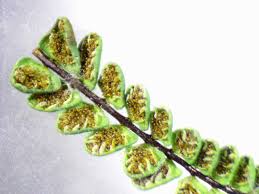 Image result for Asplenium uschiae
