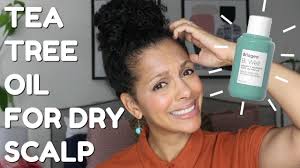 Apple cider vinegar has cleansing properties. How To Use Tea Tree Oil For A Dry Itchy Scalp Discocurlstv