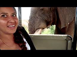 ATTACKED BY ELEPHANT AT KRUGER NATIONAL PARK!!