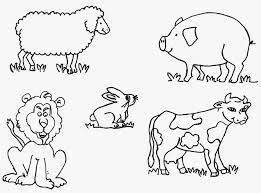 Cuentosdedoncoco Com Los Animales Para Colorear Animal Cartoon Video Cartoon Animals Drawings