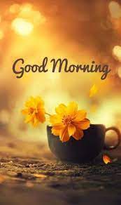 35 Of The Good Morning Quotes For You Funzumo This keeps our relations safe 7 strong.