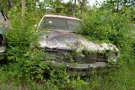 Image result for Charcoal 1979 Challenger