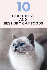 10 Healthiest And Best Dry Cat Foods Reviews With Guide 2019 Healthy Cat Food Dry Cat Food Cat Food Brands