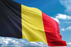 A rampant lion appeared in the seal of count philip of flanders as early as 1162, while its colours (a gold shield and a black lion) are known to have existed since 1171. 25 Interesting Fun Facts About Belgium That You Probably Didn T Know