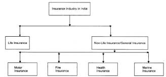 What are the types of general insurance available? Describe Various Types Of Insurance And Exercise The Nature Of Risks Protected By Each Type Of Insurance Sarthaks Econnect Largest Online Education Community