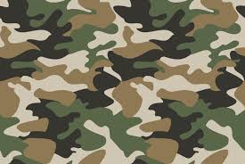 We did not find results for: Camouflage Pattern Background Virtual Background For Zoom 694732 Backgrounds Design Bundles