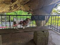 Dog Days of Summer Kick Off Event at Rock City