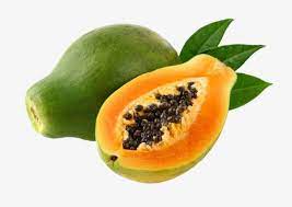 Green Papaya Papaya Fruit Melon Fruit Png Transparent Clipart Image And Psd File For Free Download Green Papaya Papaya Fruit
