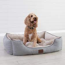 Looking for large dog beds cheap and extra large dog beds cheap? Best Dog Beds Australia We Review The Top 10 Brands Better Homes And Gardens