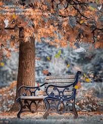 Https Encrypted Tbn0 Gstatic Com Images Q Tbn And9gcs8h0hqpv Vyzqpl Vmgkufbdh9vxwtpob8fw Usqp Cau