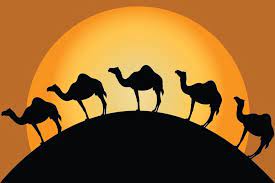 un dromadaire est une des nombreuses comptines sur les animaux ideale pour l ouverture culturelle enfants du desert dessin africain coloriage colley