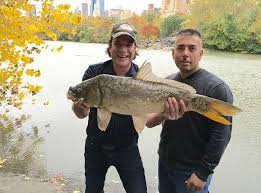 The arkansas game and fish commission's mission is to conserve and enhance arkansas's fish and wildlife and their habitats while promoting sustainable use, public understanding and support. Interview With Mike D From Lunkerville Fishing Tv