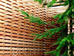 Gallery Of Aa Students Amplify The Forest 10 Architectural Association Architecture Details Architecture