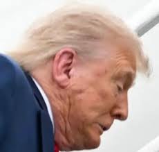 Did she bait him with stories of animal attacks to make him appear extreme?