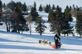 Chien de traineaux schnepfenried : Reve De Nord Hiver Complet Chiens De Traineau Toute L Annee