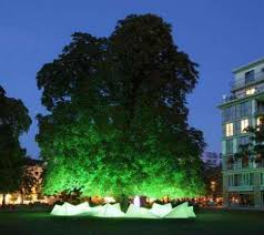 Arboreal Musical Installations Chestnut Trees Tree Public Art