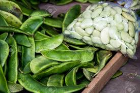 Image result for Phaseolus lunatus