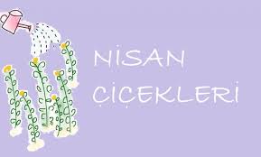 Çiçek bakımları ve çiçek özellikleri. Nisan Ayinda Hangi Cicekler Ekilir Evhayat