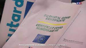 Le pass sanitaire est disponible en france depuis le 9 juin 2021. Il Est Desormais En Vigueur Comment Obtenir Son Pass Sanitaire Europeen Lci