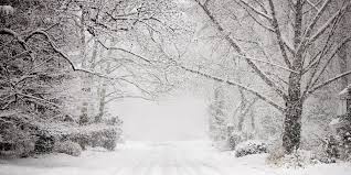 Welcome to the official international blizzard gear store! Here S The Difference Between A Snowstorm And A Blizzard Martha Stewart