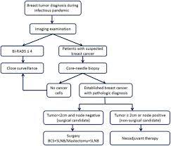 According to breastcancer.org, one in eight women will develop breast cancer in their lifetime. Management Of Early Stage Breast Cancer Patients During The Coronavirus Disease 2019 Covid 19 Pandemic The Experience In China From A Surgical Standpoint