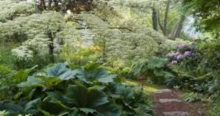 l ancien jardin jardin de valerianes http jardindevalerianes e monsite com jardins exterieur valeriane