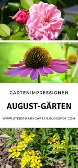 Bye Bye Sommer August Garten Garten Pflanzen Sommerblumen